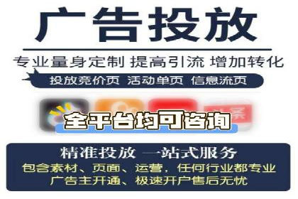 行业领先的SEM竞价广告投放案例